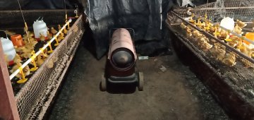 【客戶反饋】養(yǎng)殖育雛供暖怎么選？工業(yè)暖風機